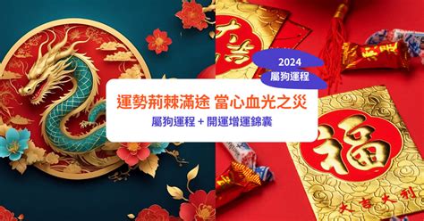 生肖狗運勢|【屬狗2024生肖運勢】運勢荊棘滿途，當心血光之。